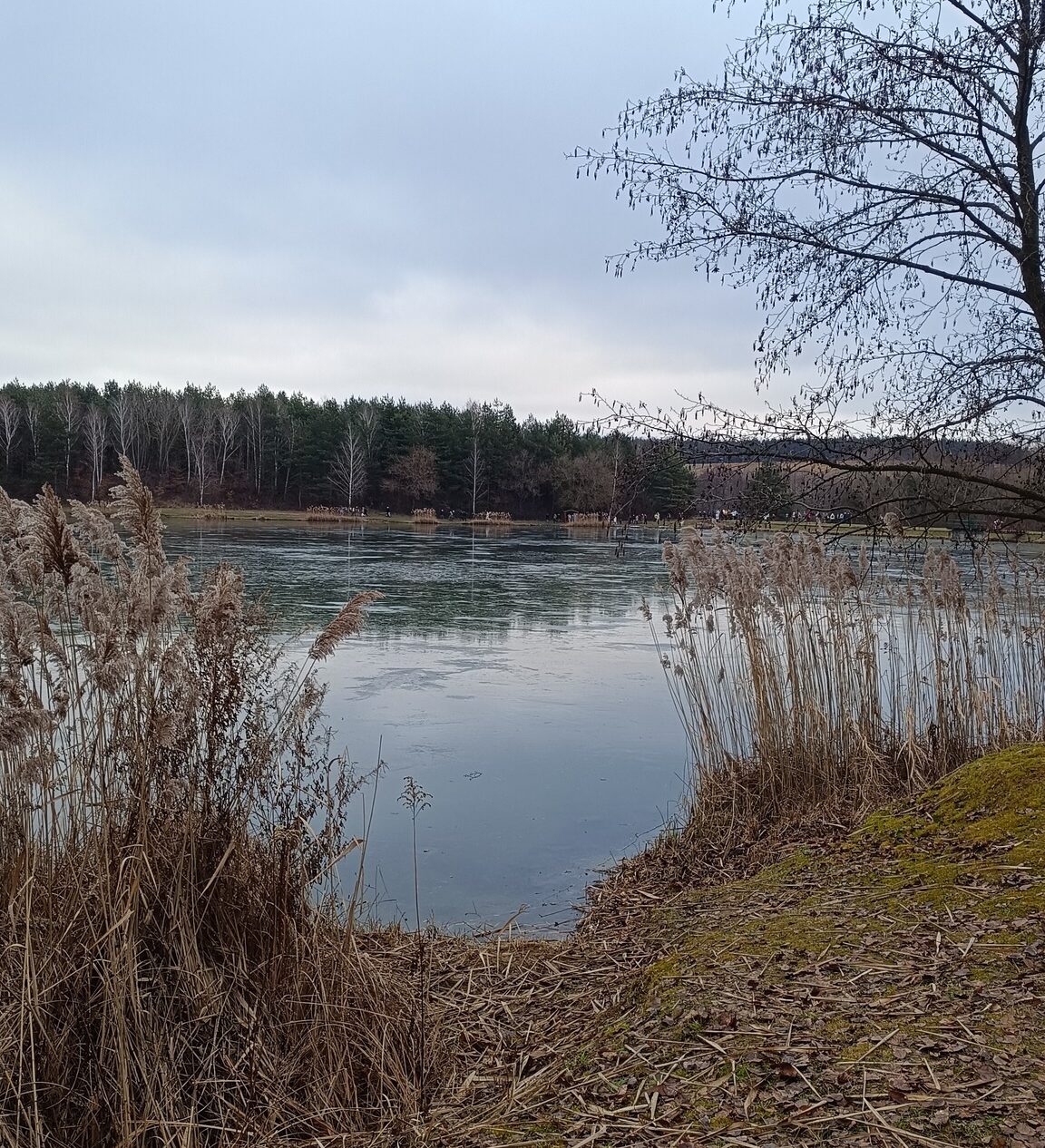 Nagyszerűen sikerült az Újévköszöntő sétánk